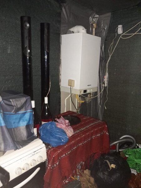 Alunisului, Brancoveanu